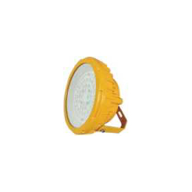 SZSW8162/SZSW8163 防爆LED (应急)工作灯